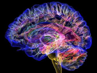 挤逼视频大脑植入物有助于严重头部损伤恢复